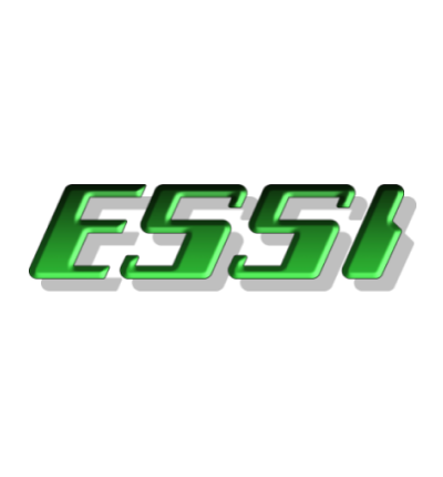 Electronic System Services Inc logo logo